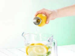 PEARL Zitronenentsafter:2er-Pack Zitrusfrucht-Entsafter Mit Ausgießer, Edelstahl -Einrichtungsgeschäft nc2925 0