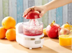 Rosenstein & Söhne Gemüsereibe:3in1 Dessert-Maker, Gemüse-Reibe & Saftpresse, 150 Watt -Einrichtungsgeschäft nx3893 6