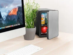 Rosenstein & Söhne Kühlschrank Klein:Mini-Kühlschrank Mit Warmhalte-Funktion, Edelstahlfront, 12/230 V, 4 L -Einrichtungsgeschäft nx6377 6