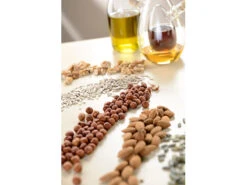 Sichler Ölpresse Für Zuhause:Elektrische Ölpresse EHP-350 Zum Selbermachen Von Nuss- Und Samen-Ölen -Einrichtungsgeschäft nx7422 4