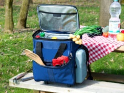 Xcase Kühltasche Trolley:Thermoelektrischer Kühltrolley Mit Teleskop-Griff (Versandrückläufer) -Einrichtungsgeschäft nx7536 1