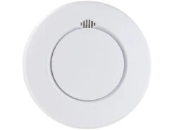 VisorTech Rauch Und Hitzemelder:Funk-Hitze-/Rauchmelder, Vernetzbar Mit Funk-Warnsystem WMS-250, 100 M -Einrichtungsgeschäft zx2911 0