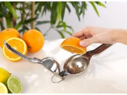 Rosenstein & Söhne Manuelle Zitruspresse:Manuelle Zitrus- Und Saftpresse Aus Poliertem Edelstahl 304, Ø 7 Cm -Einrichtungsgeschäft zx6307 6 1
